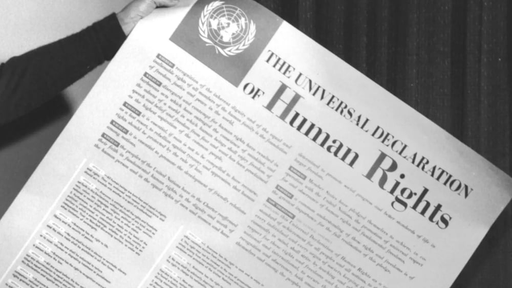 Estratto dalla Dichiarazione universale dei diritti umani.