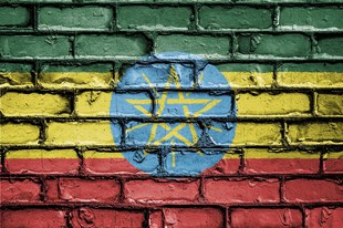 Vergewaltigungen und sexuelle Versklavung im Tigray-Konflikt