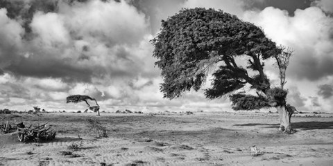 Aufgrund einer lang anhaltenden Dürreperiode stehen eine Million Menschen in Madagaskar vor der Hungersnot. © Pierrot Men/Amnesty International