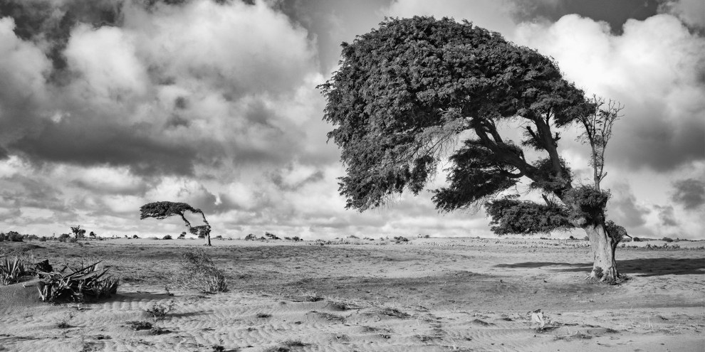 Aufgrund einer lang anhaltenden Dürreperiode stehen eine Million Menschen in Madagaskar vor der Hungersnot. © Pierrot Men/Amnesty International