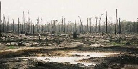 Ausgelaufenes Öl zerstört in Nigeria die Lebensgrundlage der Bevölkerung  © AI