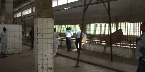 "The Abattoir", eine berüchtigten Polizeistation in Abuja, die sich auf dem Gelände eines stillgelegten Schlachthofs befindet, Federal Capital Territory, Nigeria, Juli 2009.  © Amnesty International