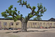 Behörden versagen neun Jahre nach der Entführung der Chibok-Mädchen beim Schutz der Kinder