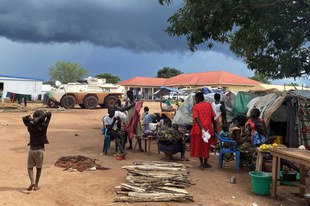 Tötungen, Massenvertreibungen und Terror in Western Equatoria