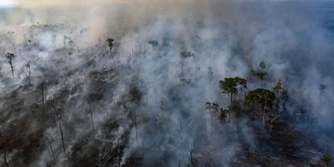 Luftaufnahmen von Amnesty International vom 23. August 2019: Waldbrand in einem indigenen Gebiet im Bundesstaat Mato Grosso. © Amnesty International