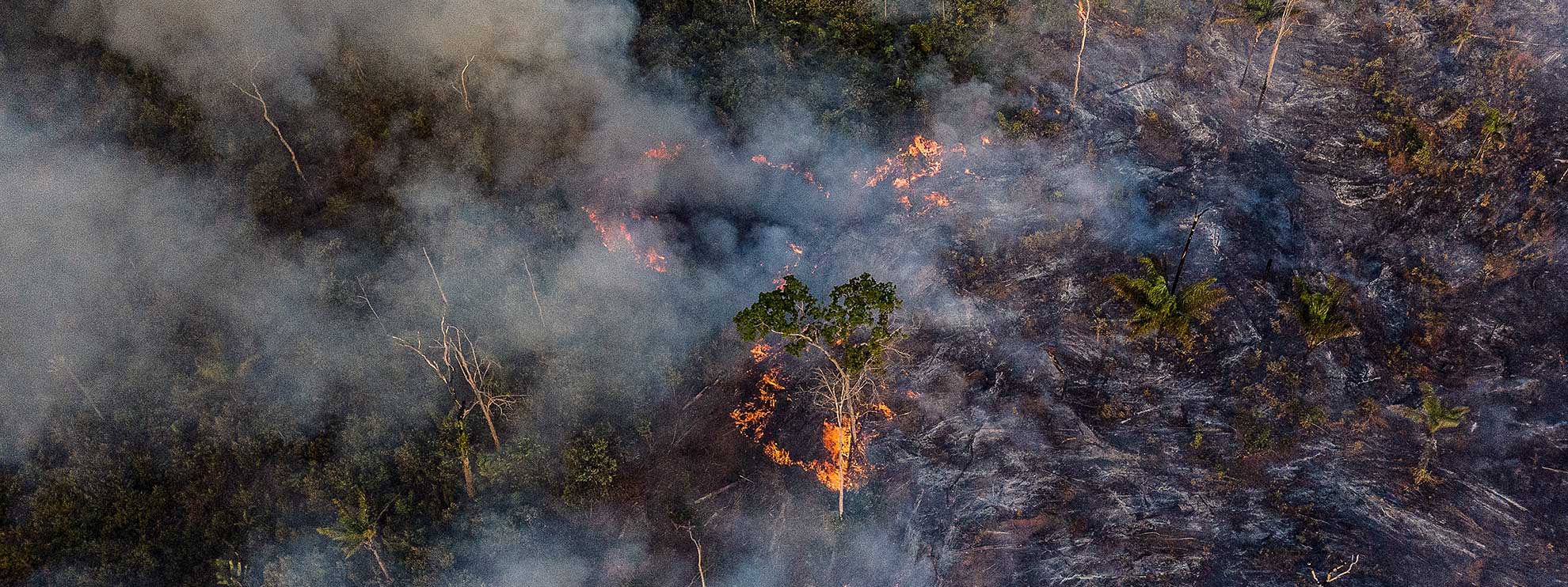 Aufnahme des Amazonaswaldes, aufgenommen von einer Drohne. © Anthony Cole / Amnesty International