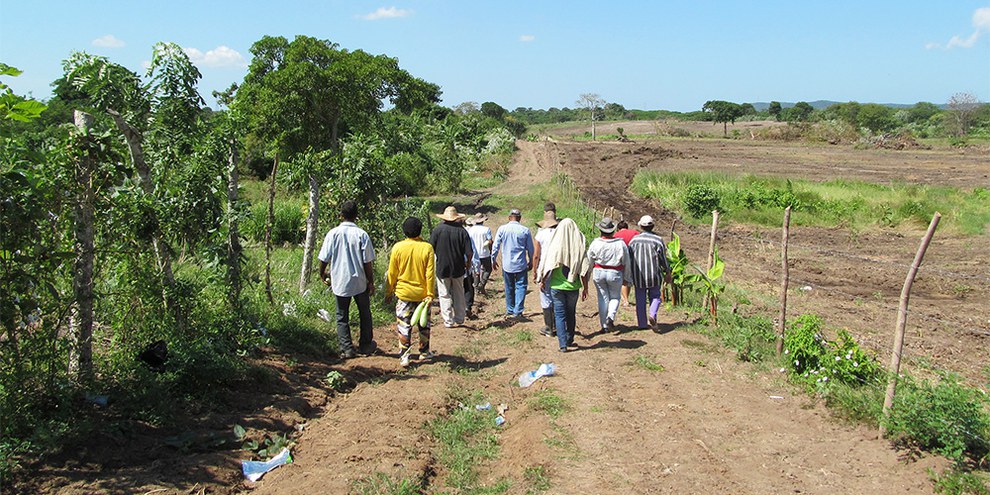 Bauern begehen ein Stück Land, das auf der einen Seite noch bewirtschaftet wird (links) und dessen andere Seite dem Landraub zum Opfer gefallen ist (rechts). El Tamarindo, Dep. Atlántico, Nordkolumbien. Dezember 2013. © Amnesty International