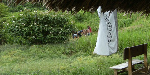 Friedensgemeinschaft von San José de Apartadó. Bauern pressen Zuckerrohr mit handgemachter Zuckerrohrpresse © Amnesty International