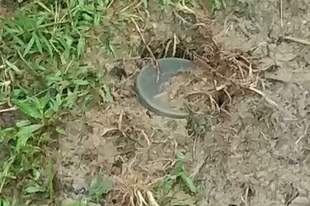 Landminen der burmesischen Armee als tödliche Gefahr für fliehende Rohingya