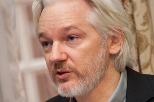 Willkürliche Inhaftierung von Julian Assange