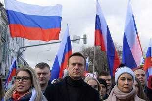 Stellungnahme zum Status von Alexej Nawalny als gewaltloser politischer Gefangener
