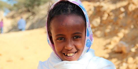 Aufruf gegen die Aufhebung der vorläufigen Aufnahme für Eritreerinnen und Eritreer