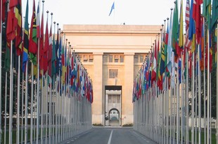 Menschenrechte global unter Beschuss: Schweiz muss Vorreiterrolle einnehmen