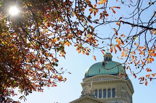Menschenrechte im Parlament: Herbst 2024