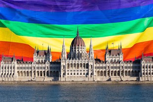 Queer-feindliches Gesetz stigmatisiert LGBTI*-Community