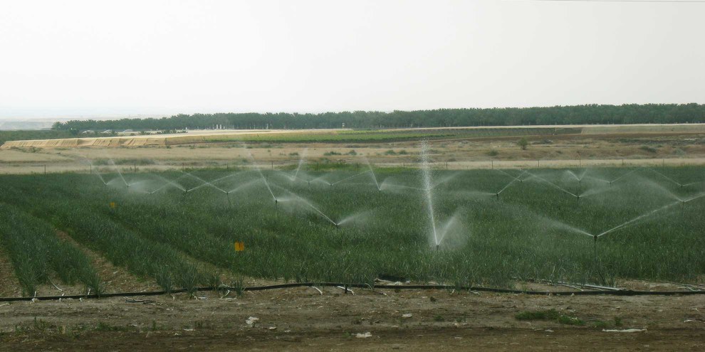 Ungleiche Verteilung: Für die Bewässerungsanlagen israelischer Siedlungen hat es immer genug Wasser. © Amnesty International