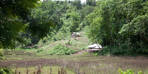 Die Chittagong Hill Tracts (Archivbild) © Amnesty International