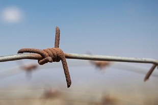 Amnesty International fordert die Freilassung aller gewaltlosen politischen Gefangenen weltweit