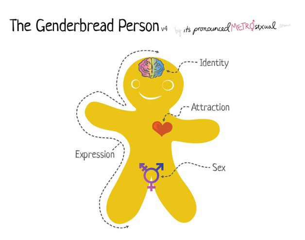 genderbread_person_copyright!.jpg
