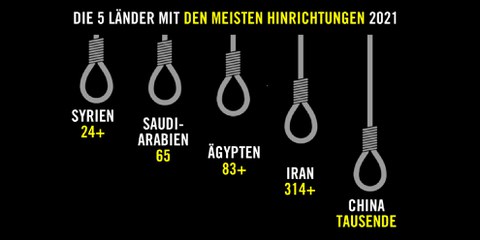 Weltweite Bilanz 2021 – Zahlen und Fakten