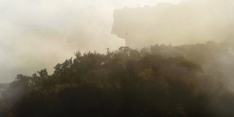 China unberücksichtigt, stehen Iran, Ägypten und Saudi-Arabien für 80 Prozent der weltweit registrierten Hinrichtungen.  © Amnesty International