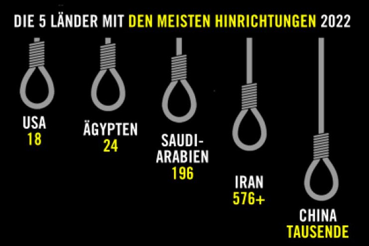 Länder-noose.jpg