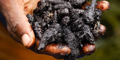 Shells Verschmutzung des Nigerdeltas