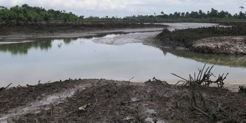 Nigerdelta: Shell - verschmutzter Wasserlauf in Kegbara Dere © Amnesty International