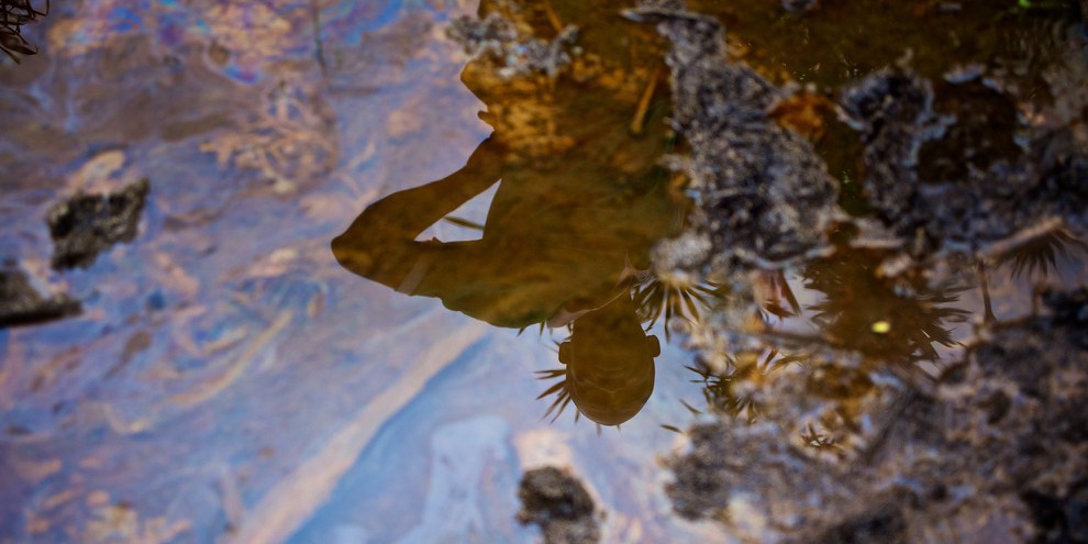 In Gokana kam es zu mehreren Ölverschmutzungen. Die Förderung wurde zwar eingestellt, doch die Umwelt bleibt verseucht.  © Michael Uwemedimo/cmapping.net