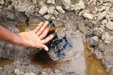 Shell und die Ölverschmutzung im Nigerdelta – kein Ende in Sicht