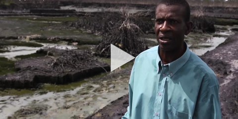 The True Tragedy: Bodo Oil Spills