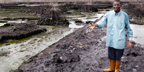 Pfarrer Christian Lekoya Kpandei zeigt sein von ausgelaufenem Shell-Öl zerstörtes Feld. © Amnesty International