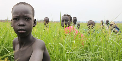 Unkrautjäten statt Schule: Der achtjährige Red und seine Freunde arbeiten auf der Karuturi-Farm in Äthiopien für einen Franken pro Tag. © Philippp Hedemann