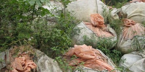 Müllsäcke in der Umgebung von Abidjan. © Amnesty International