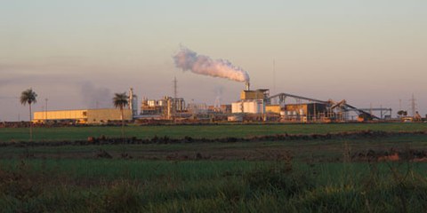 Bioenergieproduktion in grossem Stil: Raízen produziert in Mato Grosso do Sul aus Zuckerrohr Ethanol für die Grossunternehmen Shell und Cosan. © Verena Glass