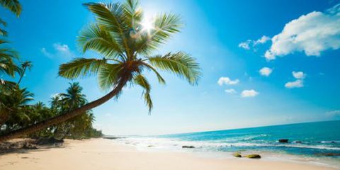 Traumstrände locken TouristInnen nach Sri Lanka. © Anton Gvozdikov/Shutterstock.com 