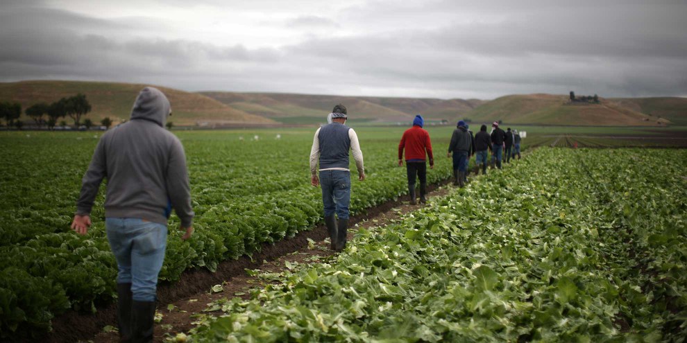 Nur mit Visum können viele Saisonarbeiter dieses Jahr einreisen. © Lucy Nicholson/Reuters
