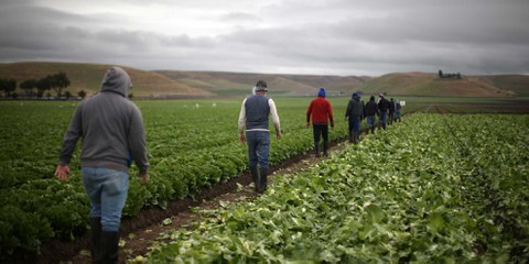 Nur mit Visum können viele Saisonarbeiter dieses Jahr einreisen. © Lucy Nicholson/Reuters
