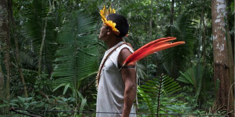 Die indigenen Gemeinschaften in Brasilien fürchten, dass ihre Schutzgebiete verkleinert werden. © Gabriel Uchida