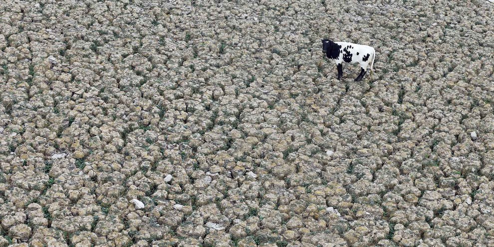 Dieser Boden müsste eigentlich unter Wasser stehen: Die Aculeo-Lagune in Paine, Chile, am 9. Januar 2019. © Reuters/Rodrigo Garrido