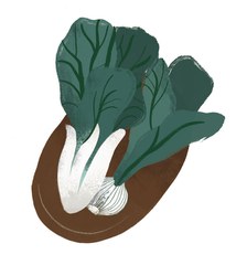 pak-choi.jpg