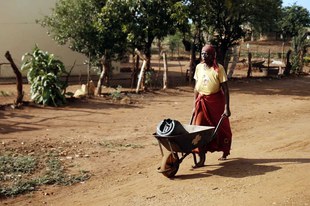 Mit Wasserproben gegen Korruption