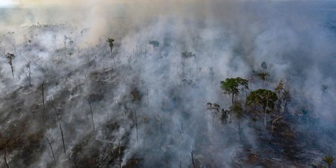 Waldbrand in einem indigenen Gebiet im Bundesstaat Mato Grosso in Brasiliens Amazonasgebiet, 23. August 2019: Für die illegale Viehzucht wird oft Brandrodung eingesetzt. © Marizilda Cruppe/Amnesty International
