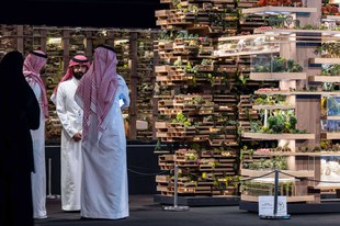 Neom: Grössenwahn eines Prinzen