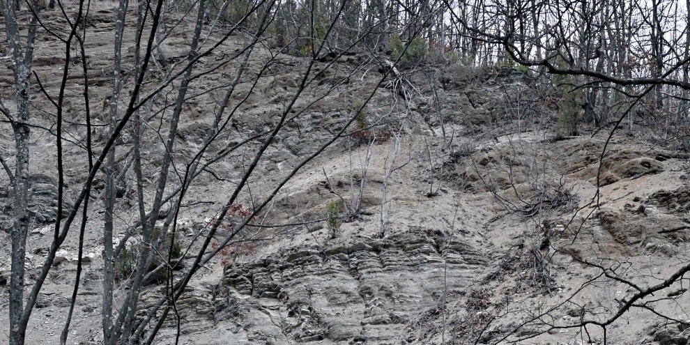 In diesem felsigen Hang in der Nähe der Stadt Lopare gibt es das begehrte Lithium-Erz.  © Sead Husic