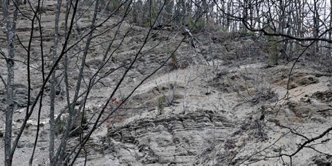 In diesem felsigen Hang in der Nähe der Stadt Lopare gibt es das begehrte Lithium-Erz.  © Sead Husic