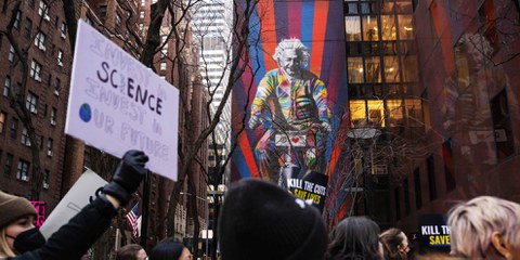 Vor dem Einstein-Wandbild in New York protestieren Demonstrant*innen gegen die beschlossenen Kürzungen bei der medizinischen Forschung und Gesundheitsversorgung.  © Adam Gray / Bloomberg via Getty Images