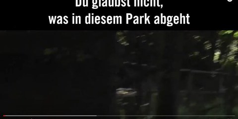 Unser Video «Social Experiment» ist online!