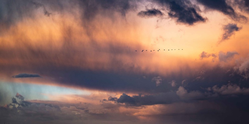 Pas de photo disponible pour cettte Action urgente / Image symbolique «migration» © Pexels