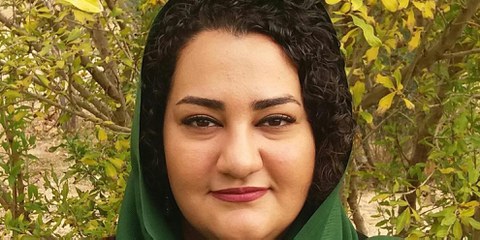 Atena Daemi
